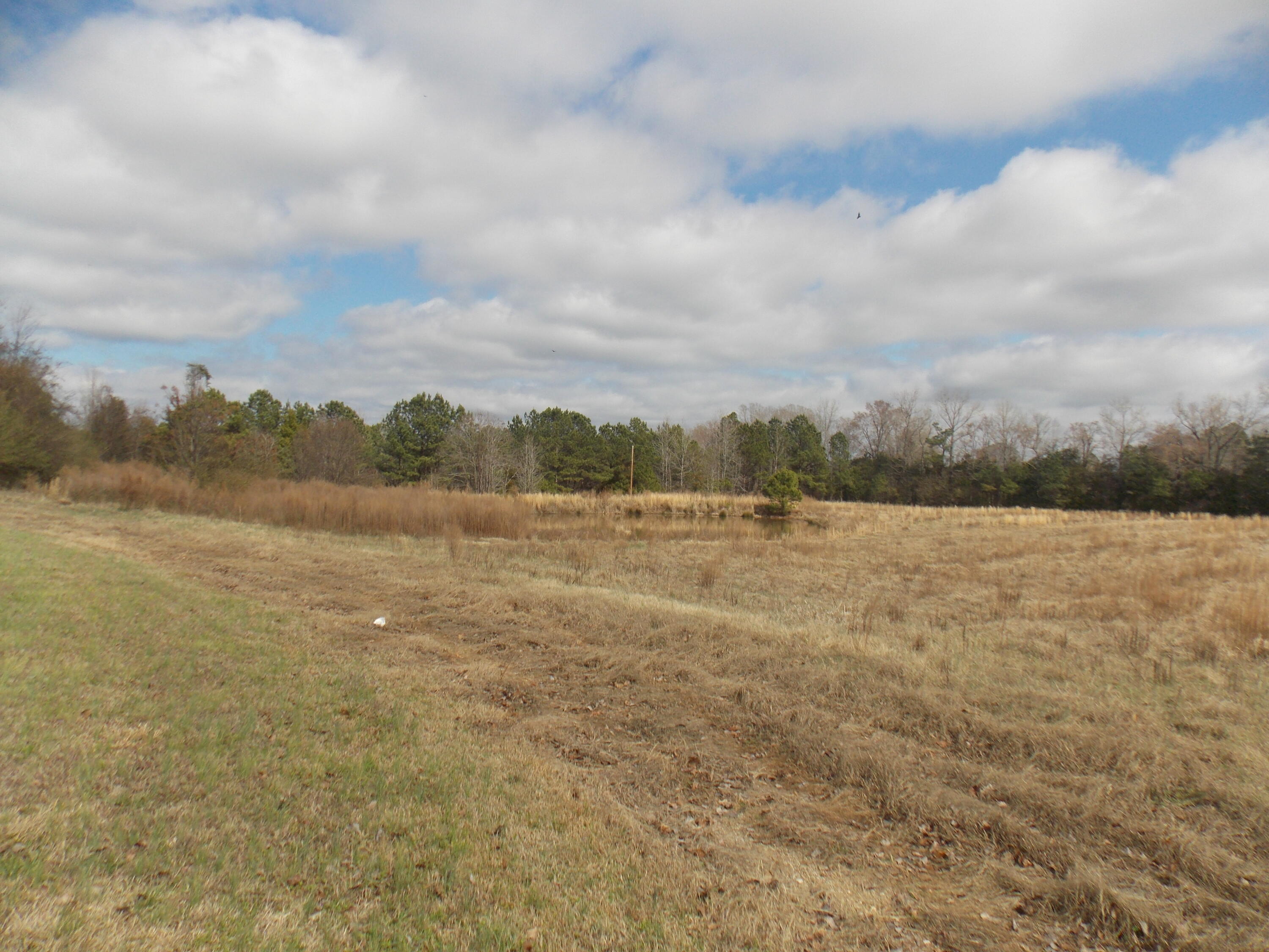 4232 Double Branches Road Lincolnton, GA 30817 - Photo 2 of 16 DSCN3470