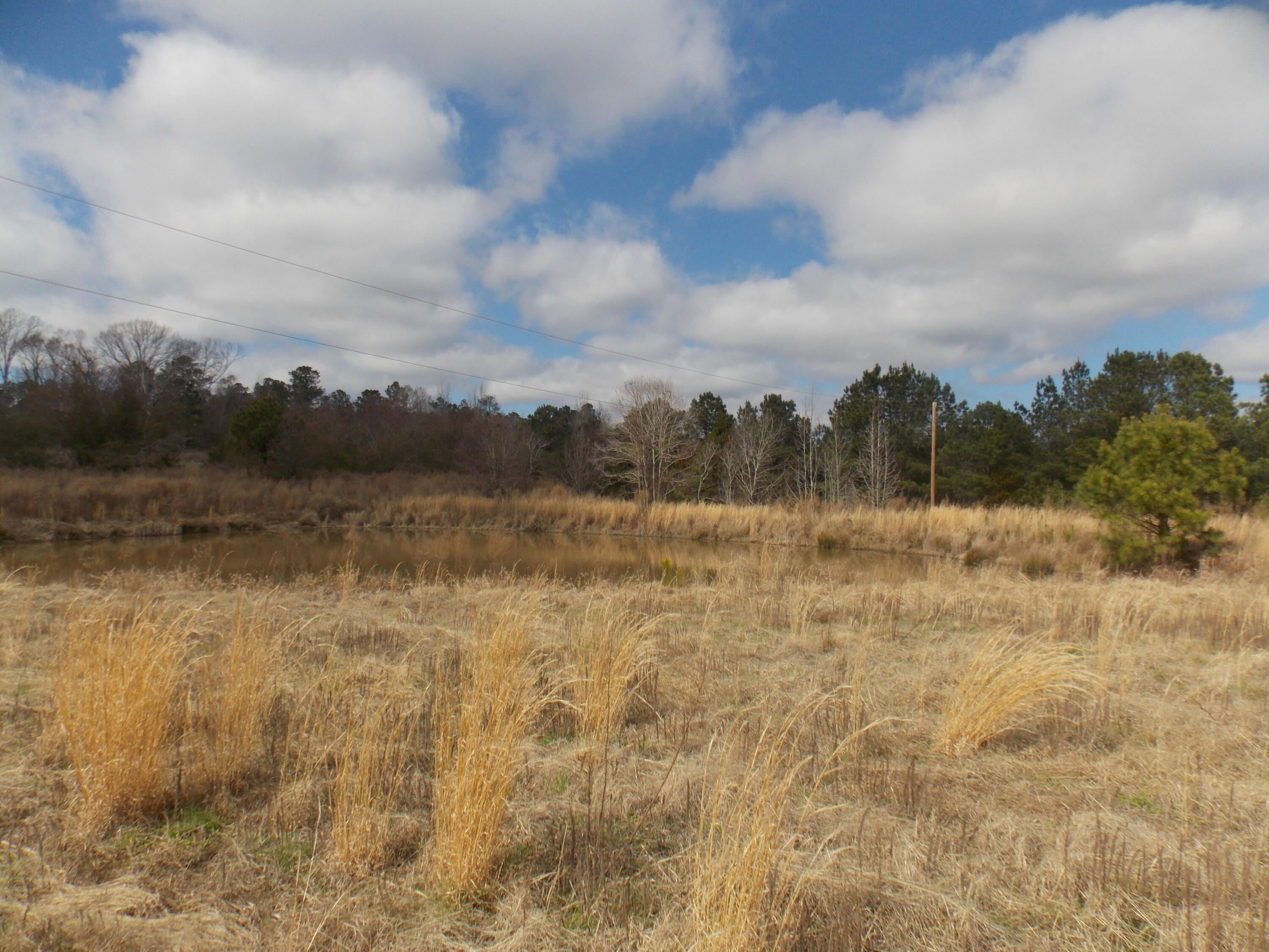 4232 Double Branches Road Lincolnton, GA 30817 - Photo 5 of 16 DSCN3473