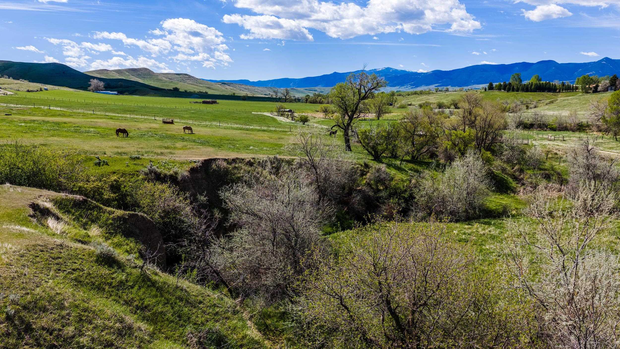 Tbd Beaver Creek Road Sheridan, WY 82801 - Photo 22 of 34