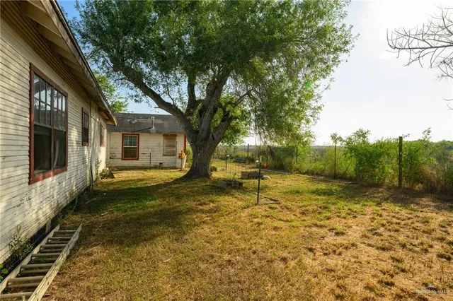 a view of a backyard with large trees