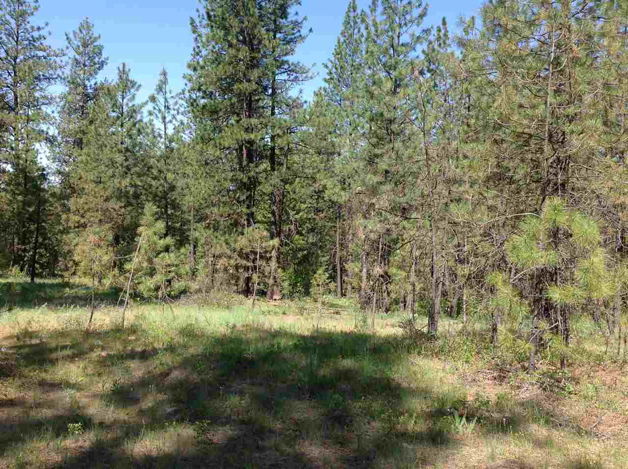 50-xx North Rail Canyon Road Springdale, WA 99173 - Photo 17 of 20 Gallery Image 17