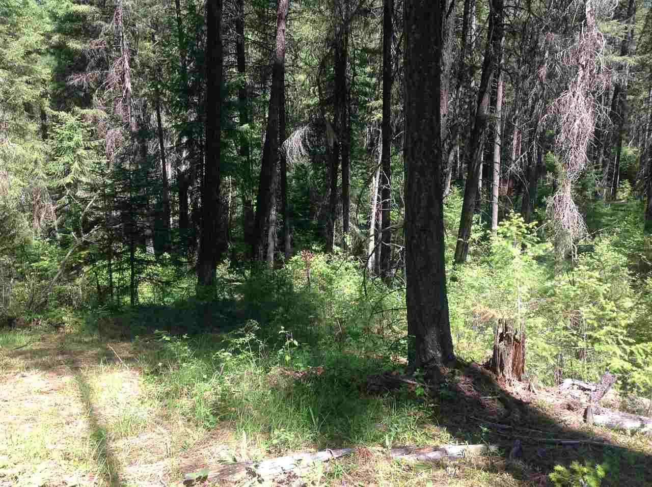 50-xx North Rail Canyon Road Springdale, WA 99173 - Photo 18 of 20 Gallery Image 18