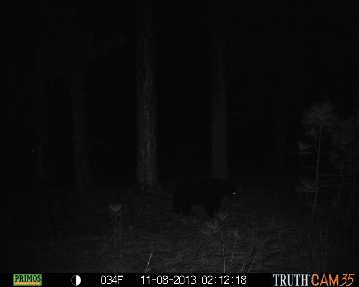 50-xx North Rail Canyon Road Springdale, WA 99173 - Photo 20 of 20 Gallery Image 20