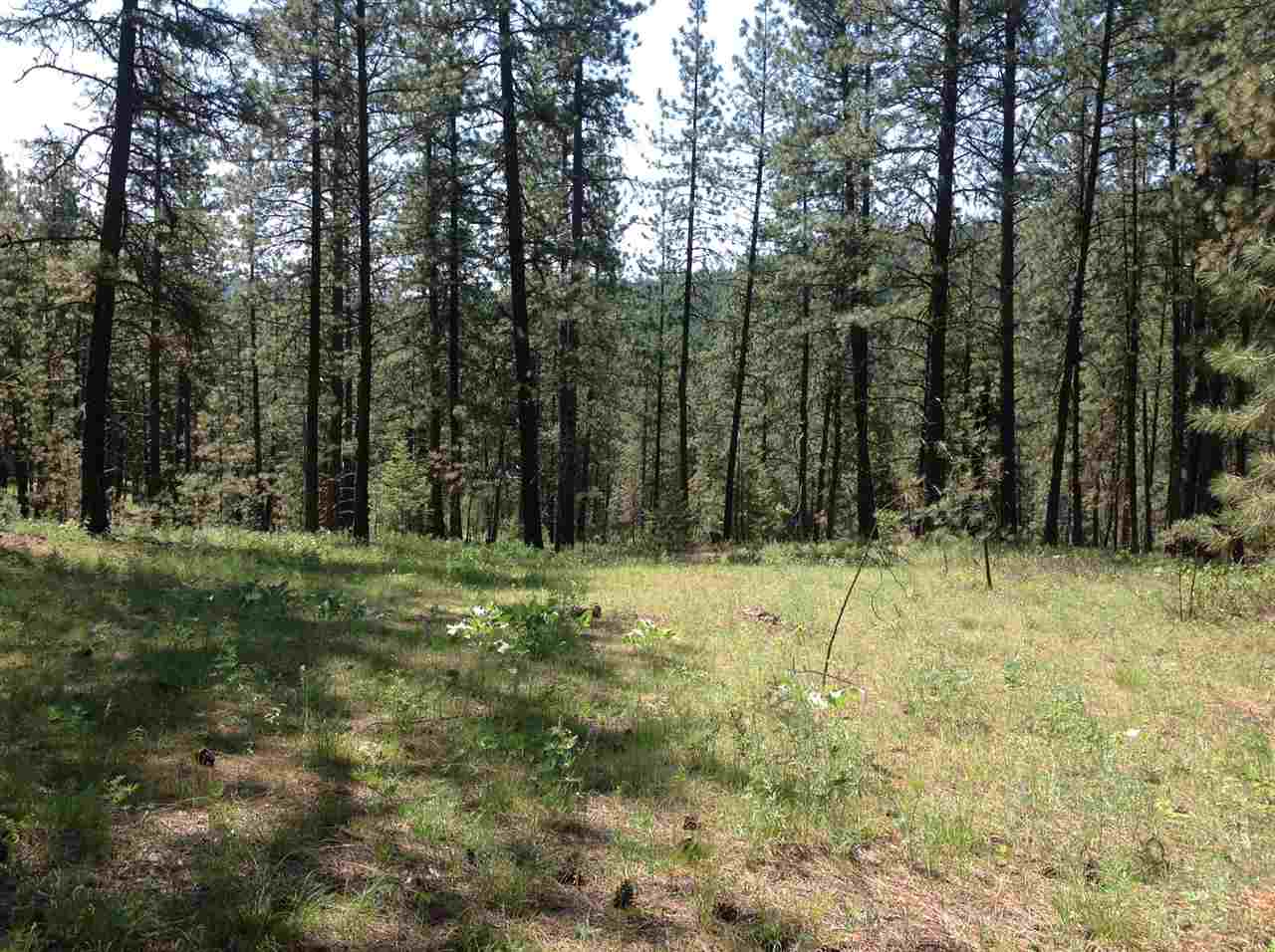 50-xx North Rail Canyon Road Springdale, WA 99173 - Photo 9 of 20 Gallery Image 9
