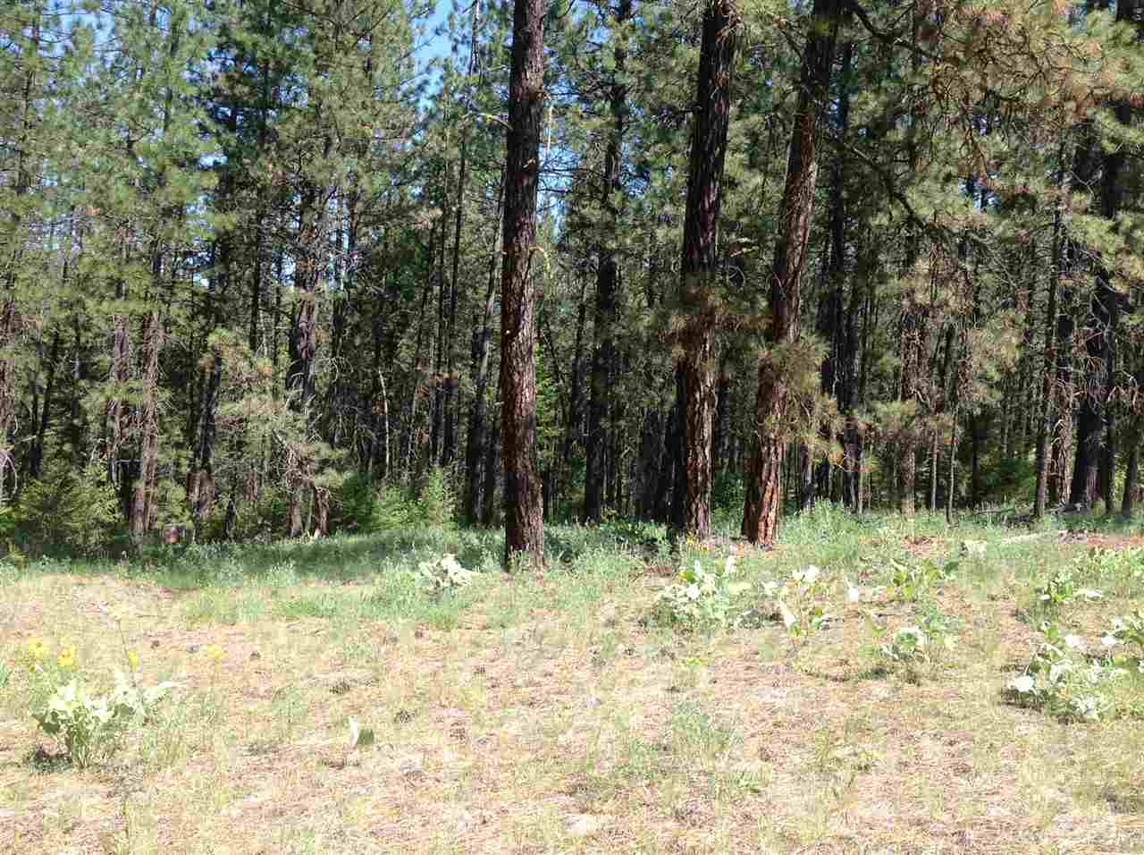 50-xx North Rail Canyon Road Springdale, WA 99173 - Photo 10 of 20 Gallery Image 10