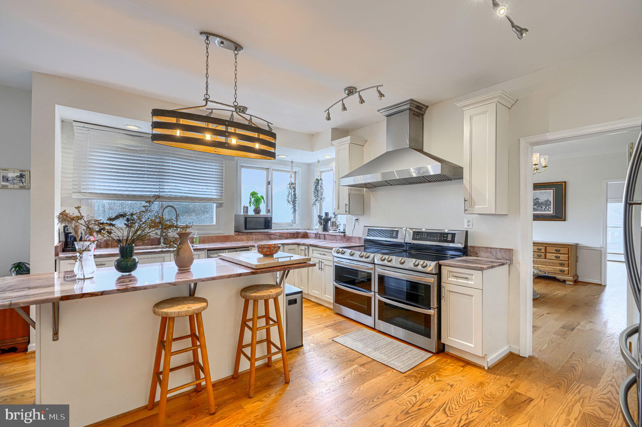 22909 Davis Mill Road Germantown, MD 20876 - Photo 7 of 54 Gourmet Kitchen (1 of 4)