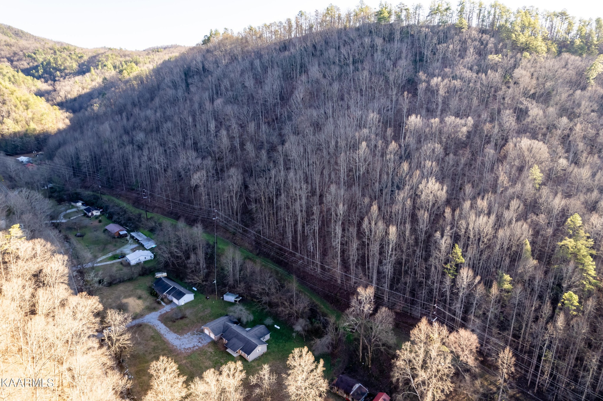 914 Wears Valley Road Townsend, TN 37882 - Photo 42 of 48 a backyard of a house with lots of green space