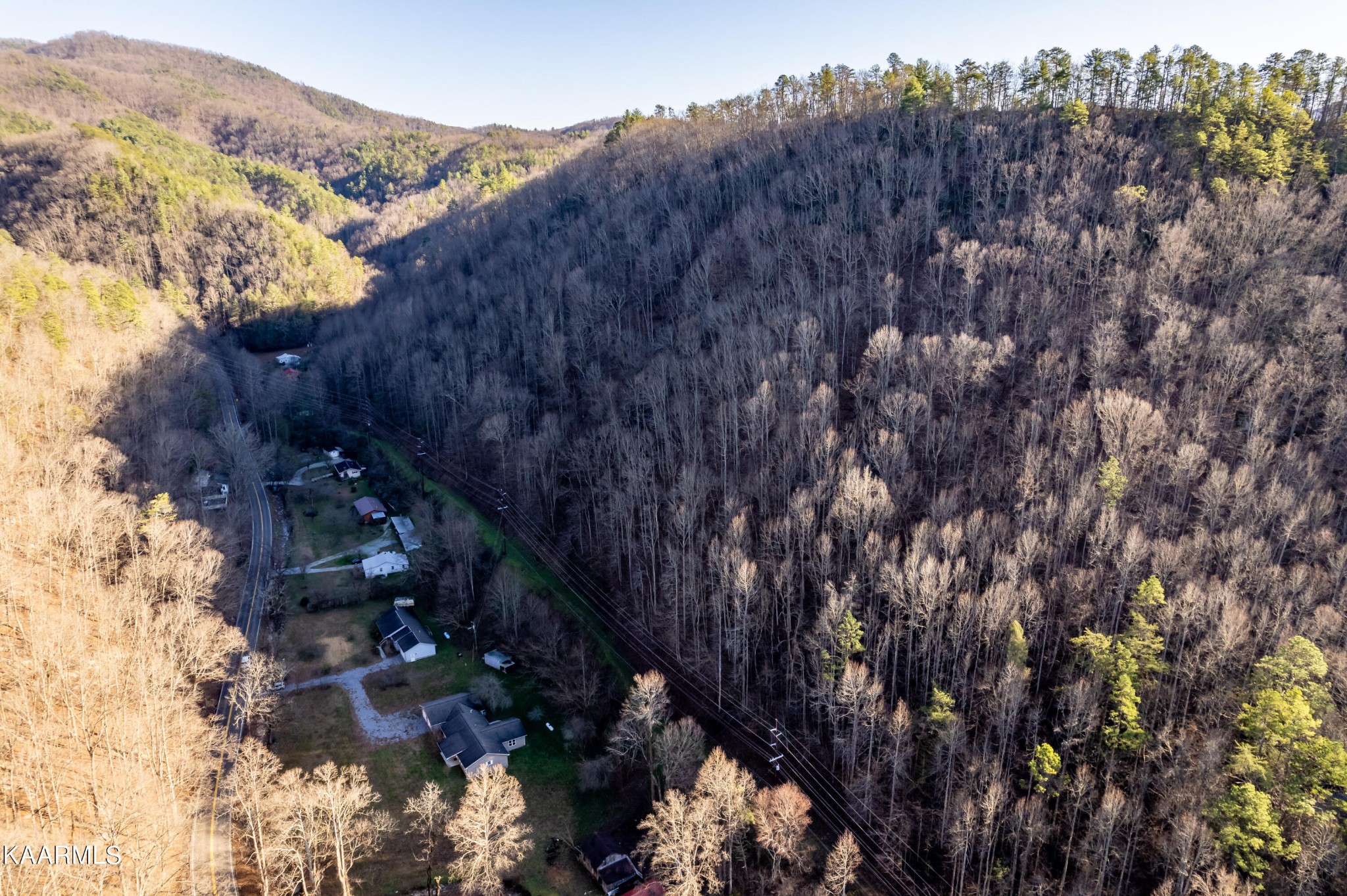 914 Wears Valley Road Townsend, TN 37882 - Photo 43 of 48 a view of a tree in a field with a tree in the background