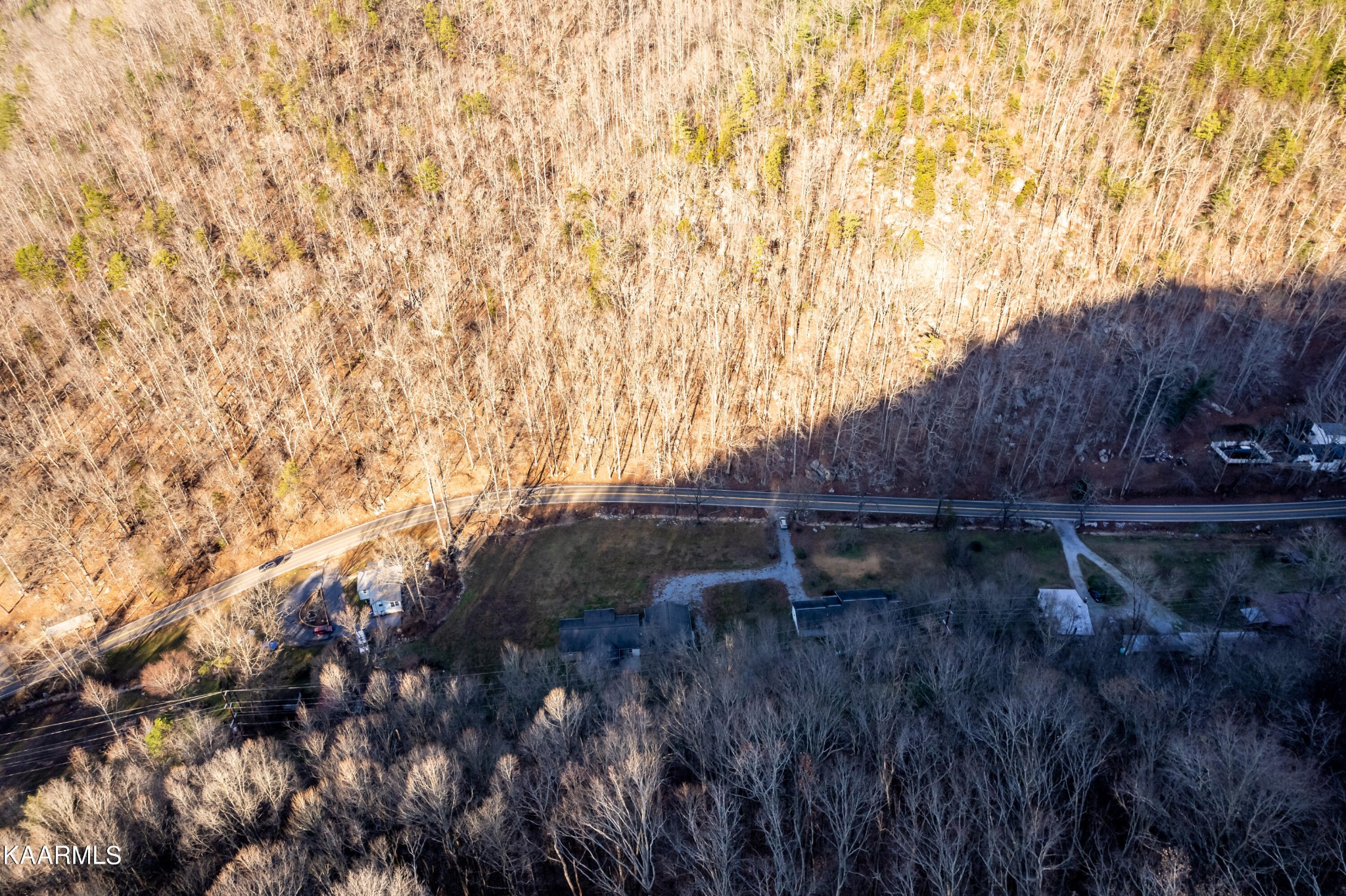 914 Wears Valley Road Townsend, TN 37882 - Photo 46 of 48 a view of bushes and tree