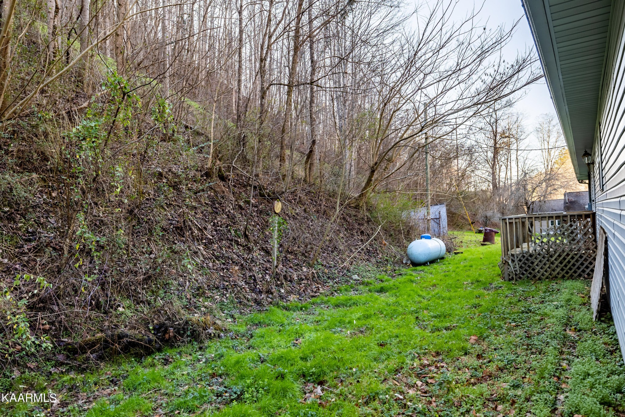 914 Wears Valley Road Townsend, TN 37882 - Photo 7 of 48 a view of garden and trees