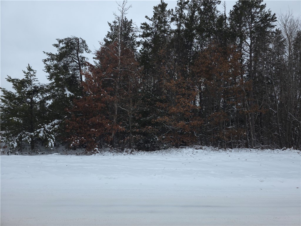 0 Liesch Road Trego, WI 54888 - Photo 8 of 27