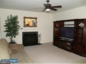 17 Johnson Road Lawrenceville, NJ 08648 - Photo 7 of 12 a living room with a fireplace and a potted plant
