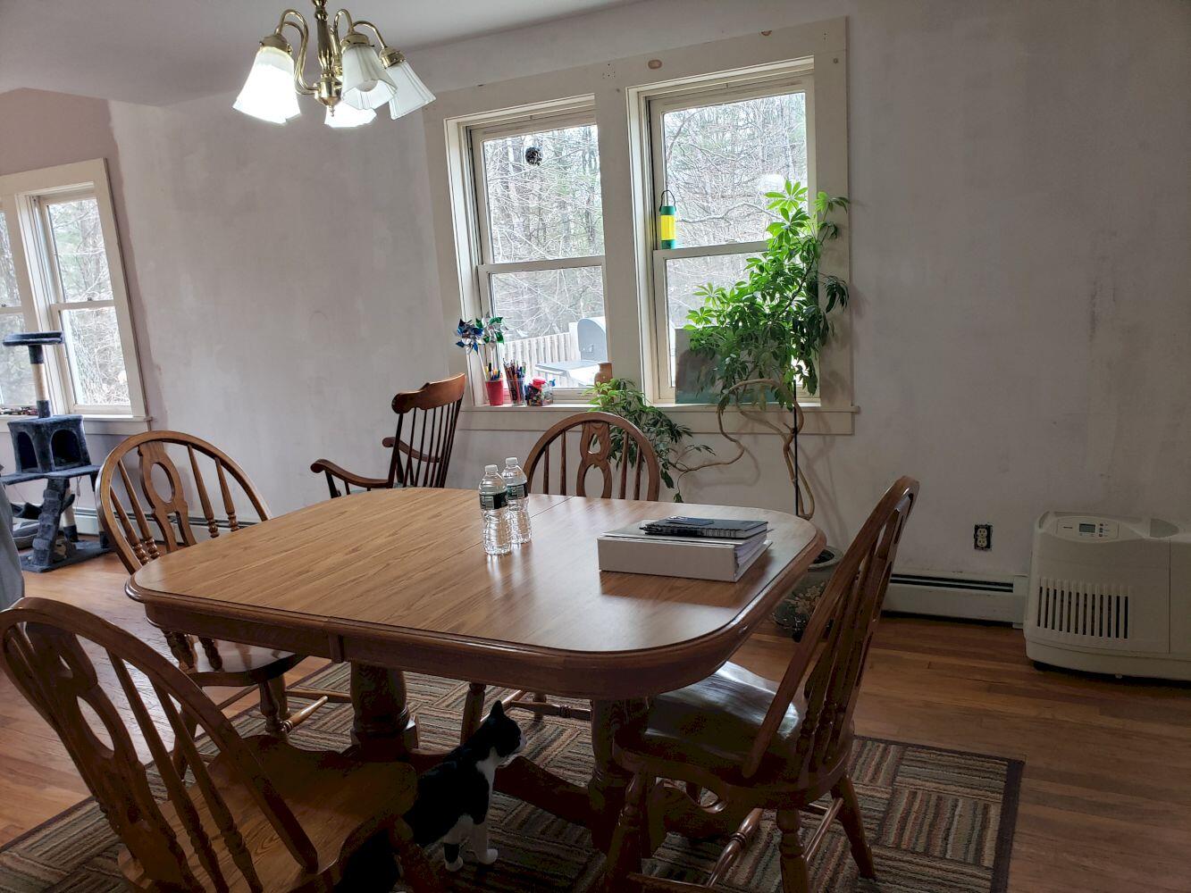 180 Fahi Pond Road North Anson, ME 04958 - Photo 13 of 39 20220428_102315