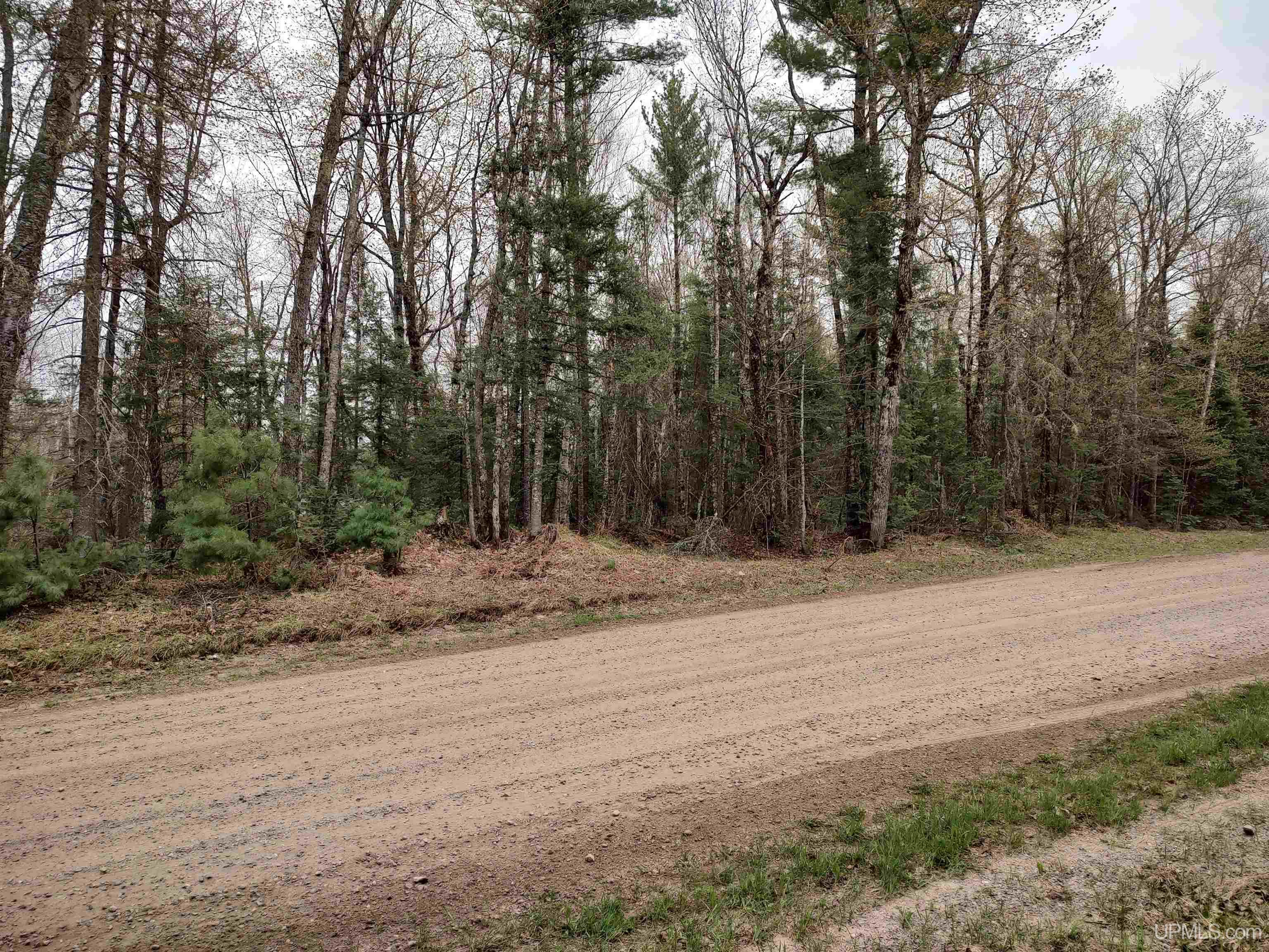 10 Fence Lake Road Michigamme, MI 49861 - Photo 30 of 42