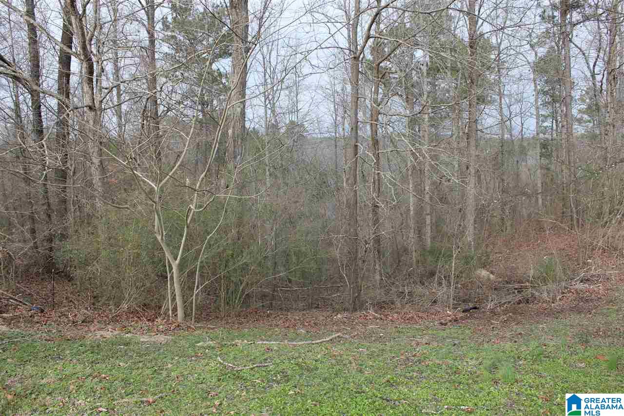 1852 Parc Ridge Circle, Unit 14 Warrior, AL 35180 - Photo 3 of 6