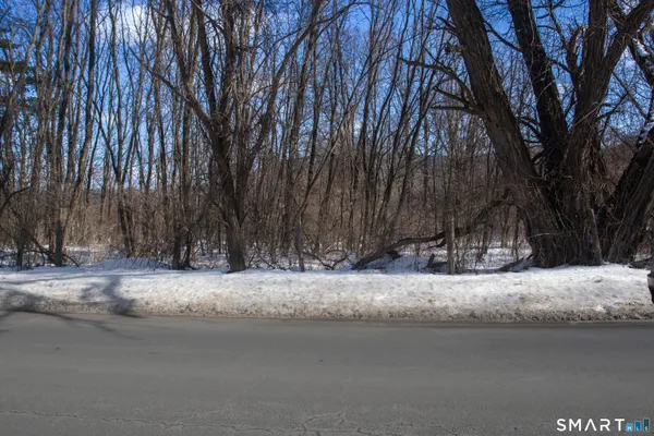 a view of a street with a large tree