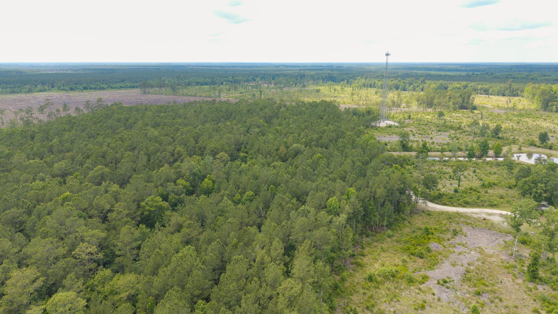 6222 Saints Delight Road, Unit LOT 8 Georgetown, SC 29440 - Photo 19 of 26