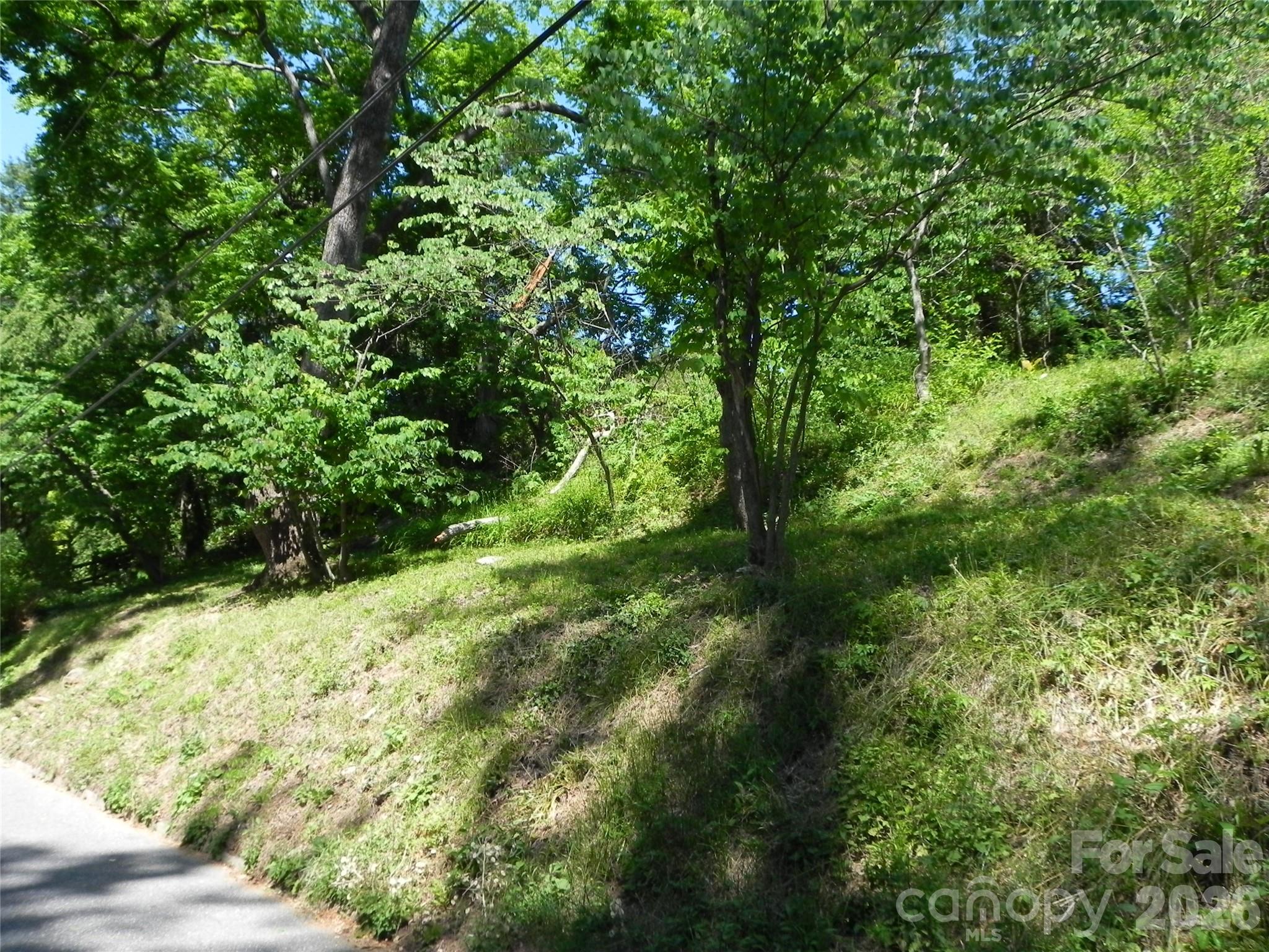9999 Howland Road Asheville, NC 28804 - Photo 3 of 3 Gallery Image 3