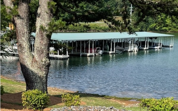 1407 Lakeside Road Hiawassee, GA 30546 - Photo 2 of 24 Additional View