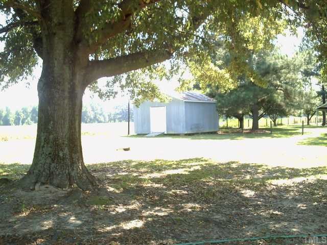 7920 Barbour Store Road Willow Spring, NC 27592 - Photo 5 of 6 a view of a yard with large tree