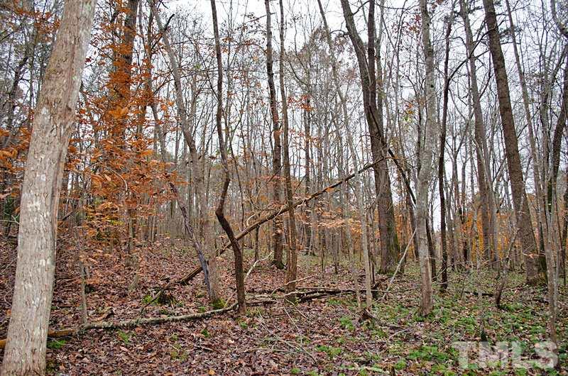 2 Virgilina Road Roxboro, NC 27574 - Photo 2 of 6 Gallery Image 2