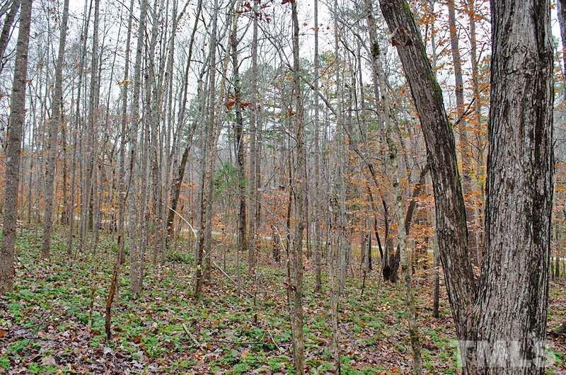 2 Virgilina Road Roxboro, NC 27574 - Photo 5 of 6 Gallery Image 5
