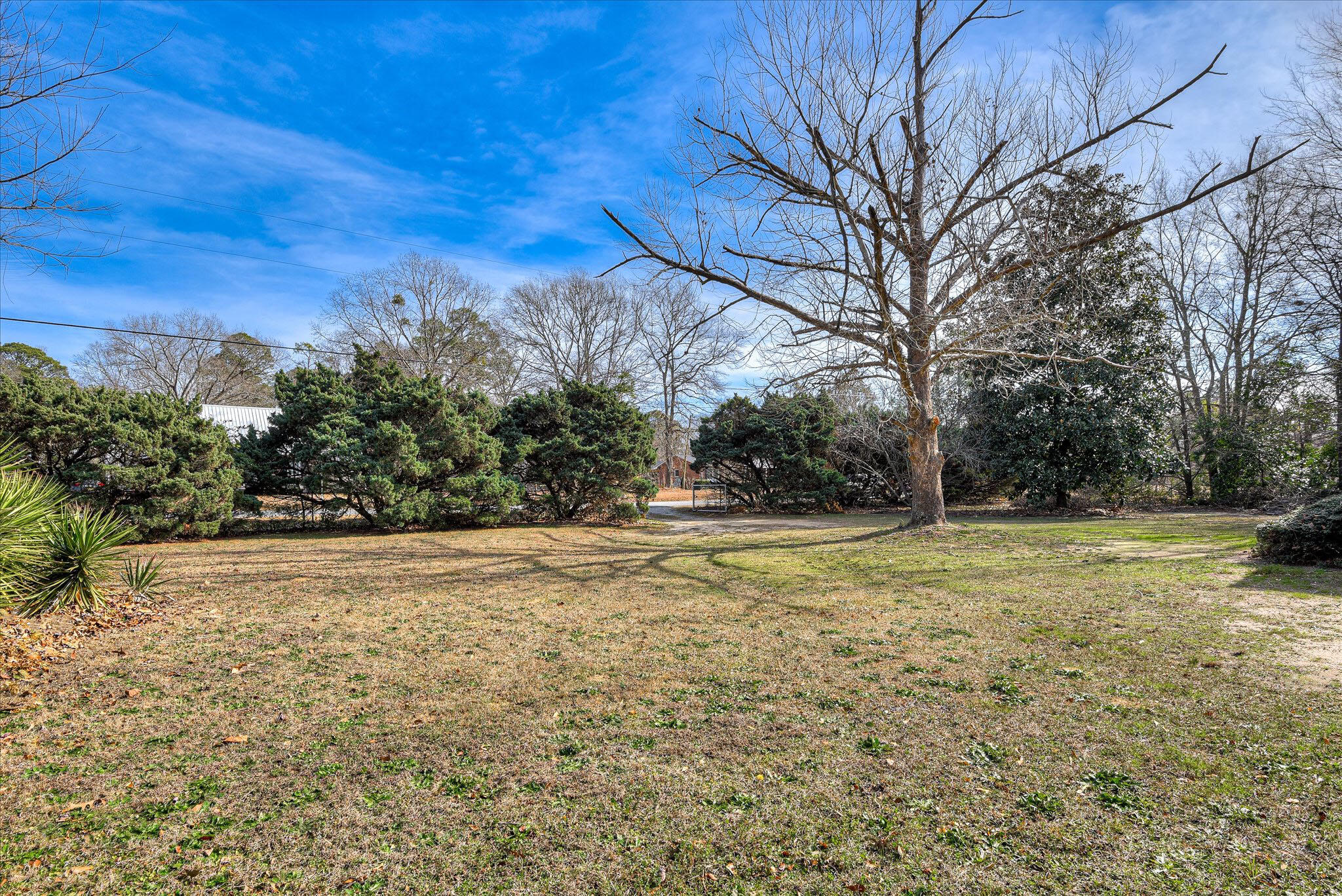 273 Timberwood Drive Thomson, GA 30824 - Photo 2 of 39 Sprawling Ranch On An Acre In Thomson GA