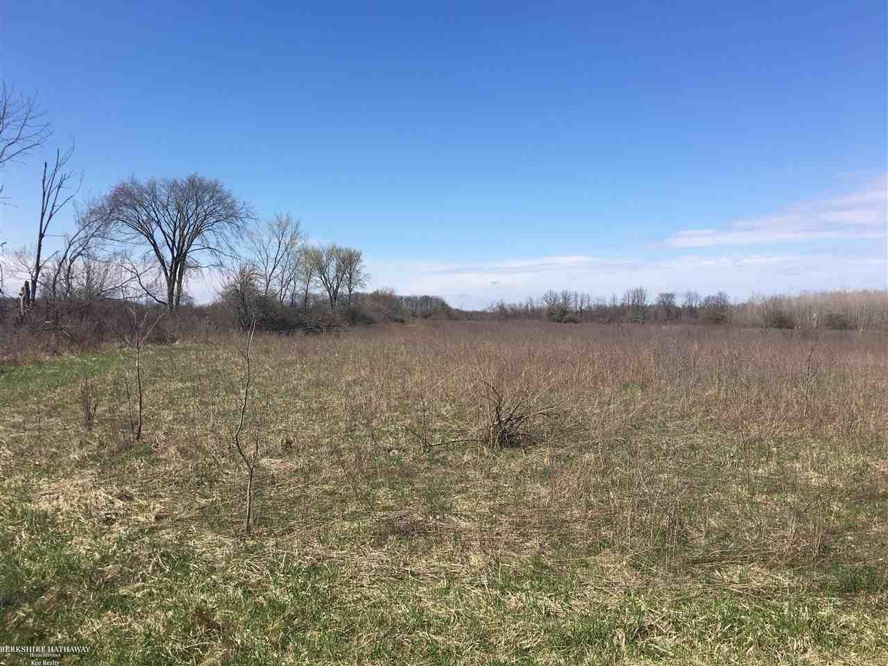 0 Masters Allenton, MI 48002 - Photo 1 of 9