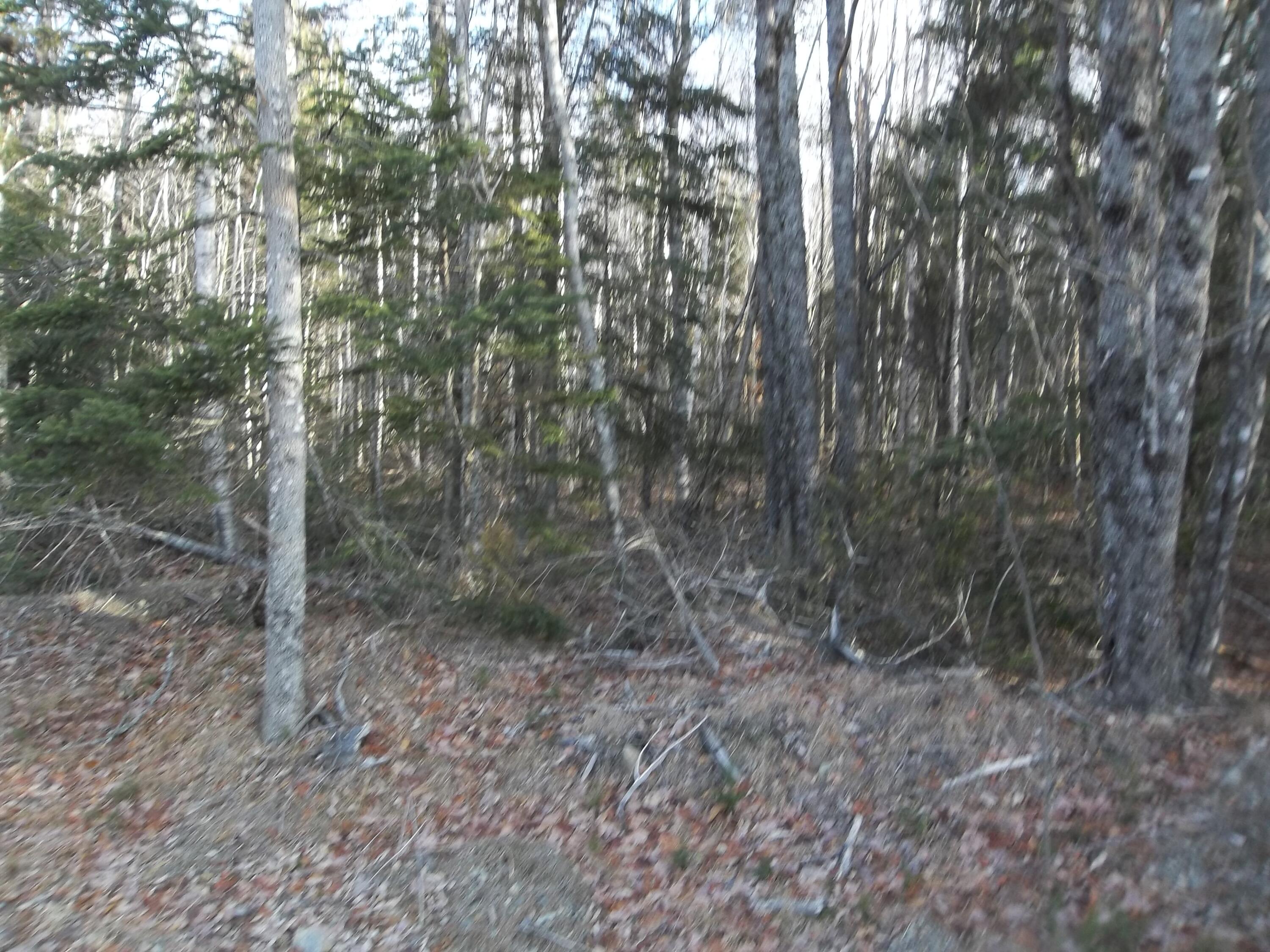 M2-l42-1 Camp Road Cooper, ME 04657 - Photo 2 of 3 100_1784