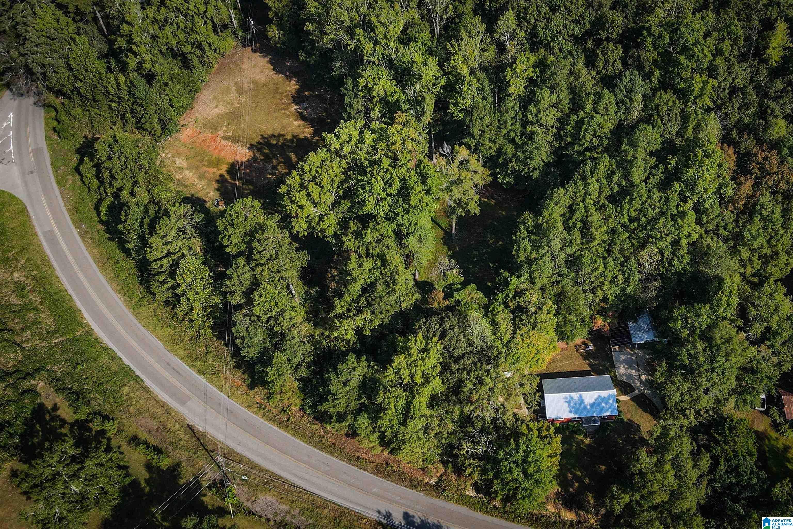 1192 Renfroe Road Talladega, AL 35160 - Photo 28 of 58 Gallery Image 28