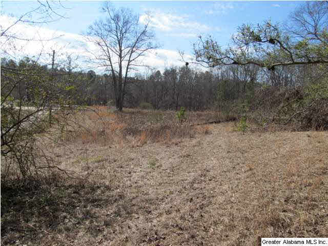 0 Signal Valley Trail Chelsea, AL 35043 - Photo 6 of 9