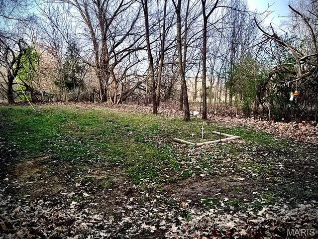 $94,500 | 13920 County Road 403, Dexter, MO 63841