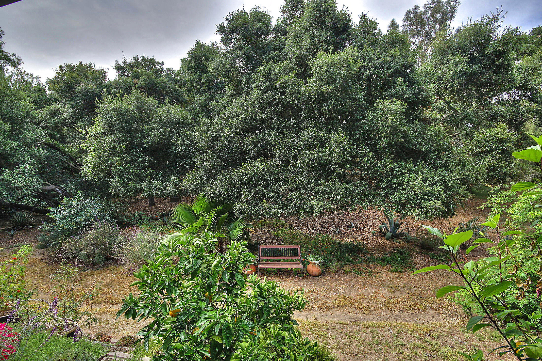 867 Via Abajo Santa Barbara, CA 93110 - Photo 12 of 26 an aerial view of a house with a yard