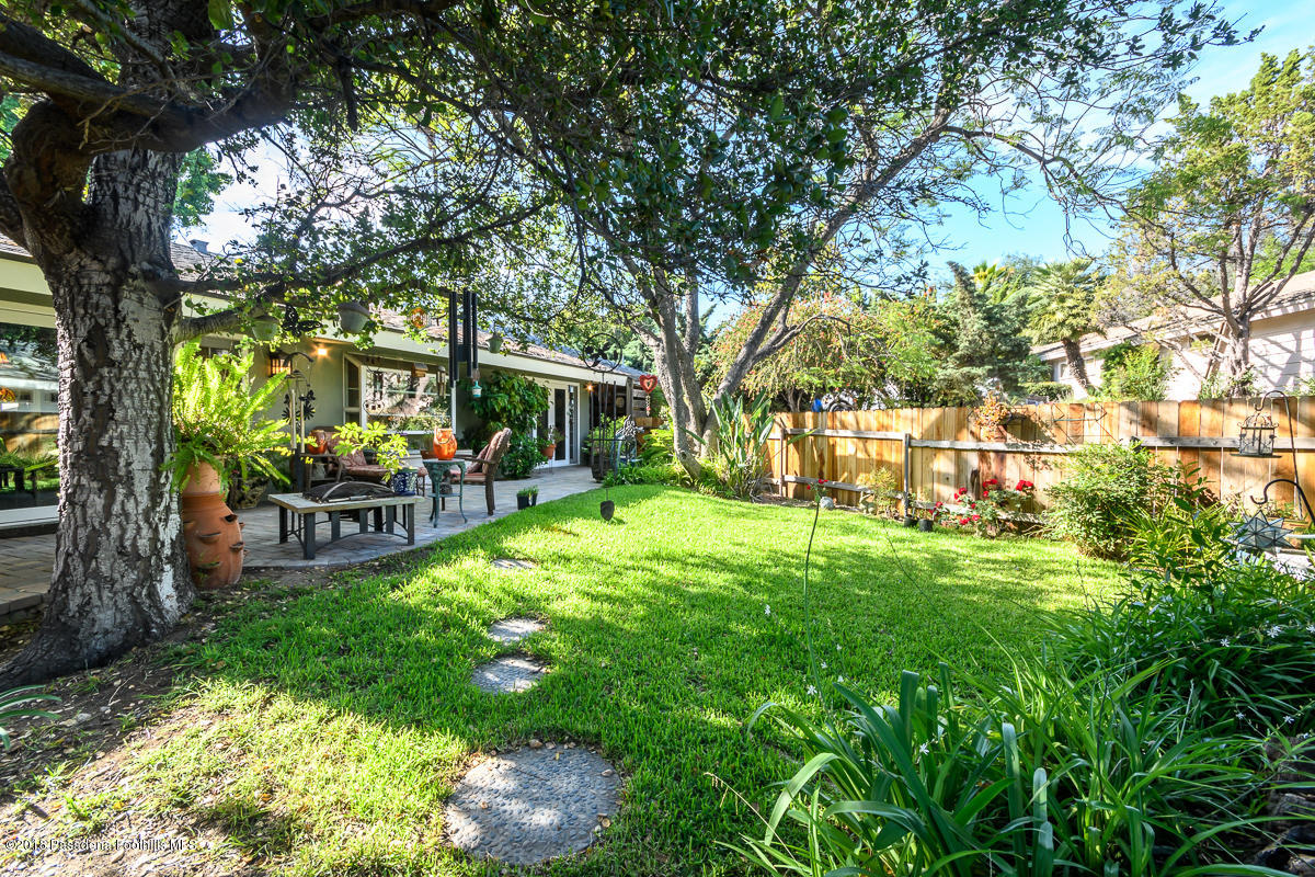 9624 Creemore Drive Tujunga, CA 91042 - Photo 45 of 56 a view of a yard with plants and a large tree