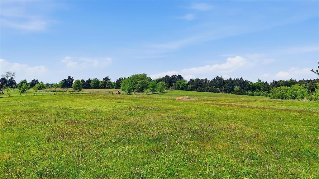 155 Basin Springs Road Sadler, TX 76264 - Photo 18 of 20 a view of a green field with clear sky