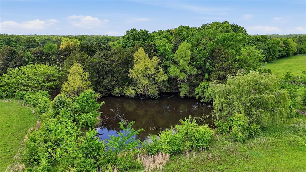 155 Basin Springs Road Sadler, TX 76264 - Photo 8 of 20 a view of a garden with a lake view