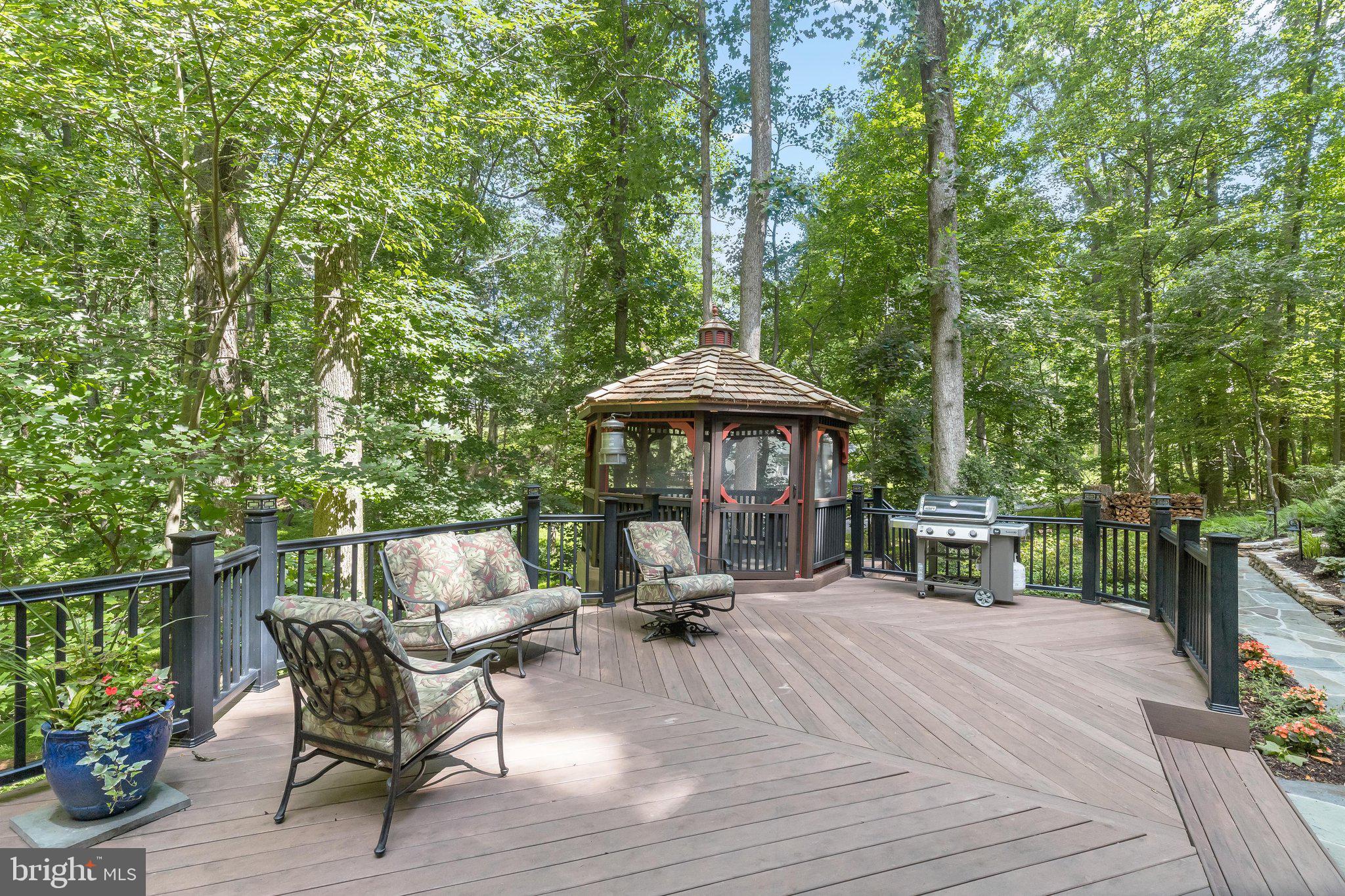 3903 Dance Mill Road Phoenix, MD 21131 - Photo 62 of 79 Timber Tech Decking