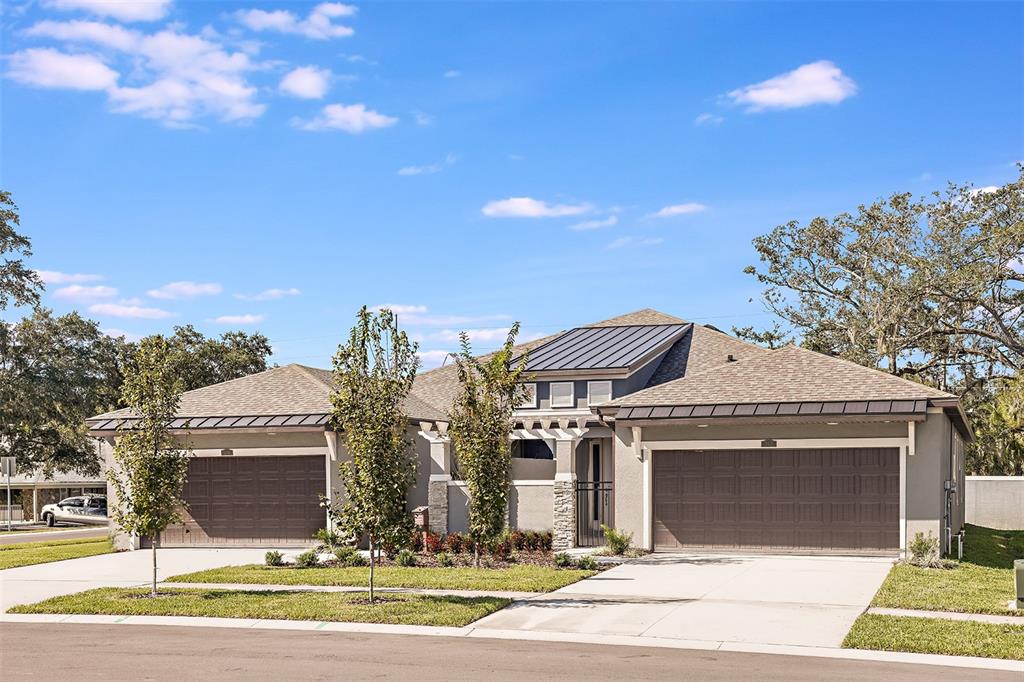 337 Villa Corte Drive Lutz, FL 33549 - Photo 1 of 1 Gallery Image 1