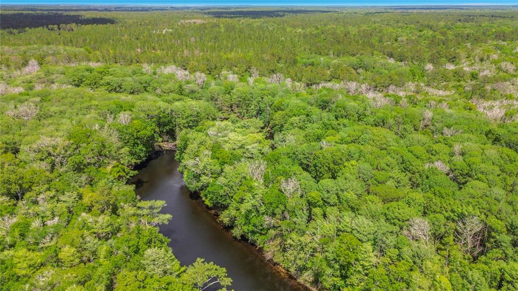 4129 East Riverside Drive Dunnellon, FL 34434 - Photo 2 of 59