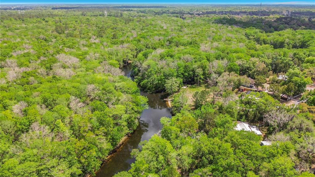 4129 East Riverside Drive Dunnellon, FL 34434 - Photo 4 of 59