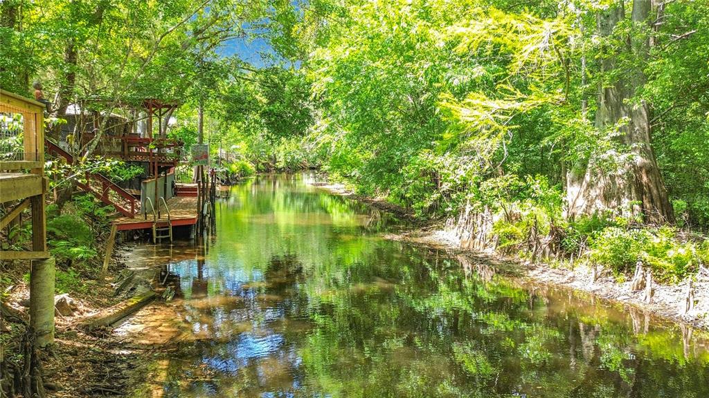 4129 East Riverside Drive Dunnellon, FL 34434 - Photo 8 of 59