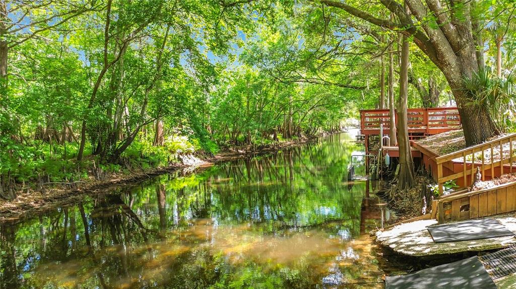 4129 East Riverside Drive Dunnellon, FL 34434 - Photo 10 of 59