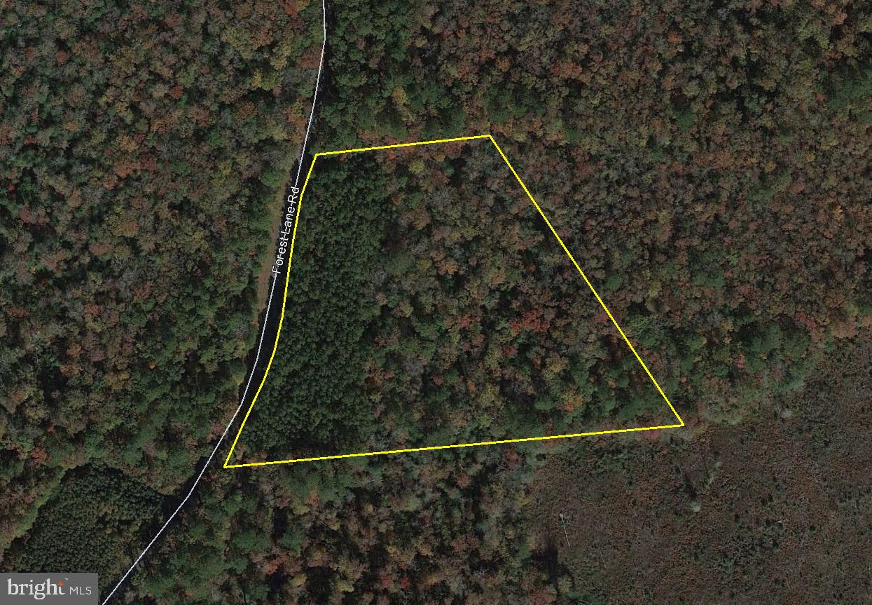 0 Forest Lane Road Snow Hill, MD 21863 - Photo 1 of 1 Gallery Image 1