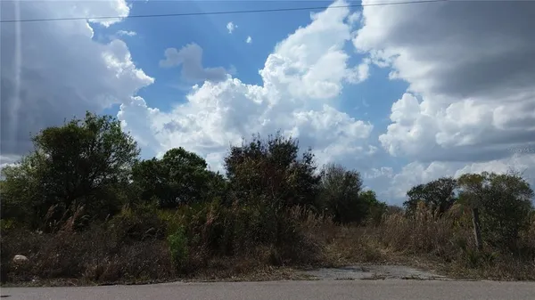 a view of a yard