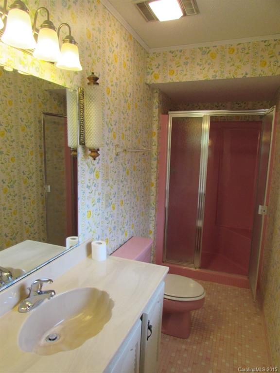 2774 Sawmill Road Hickory Grove, SC 29717 - Photo 10 of 20