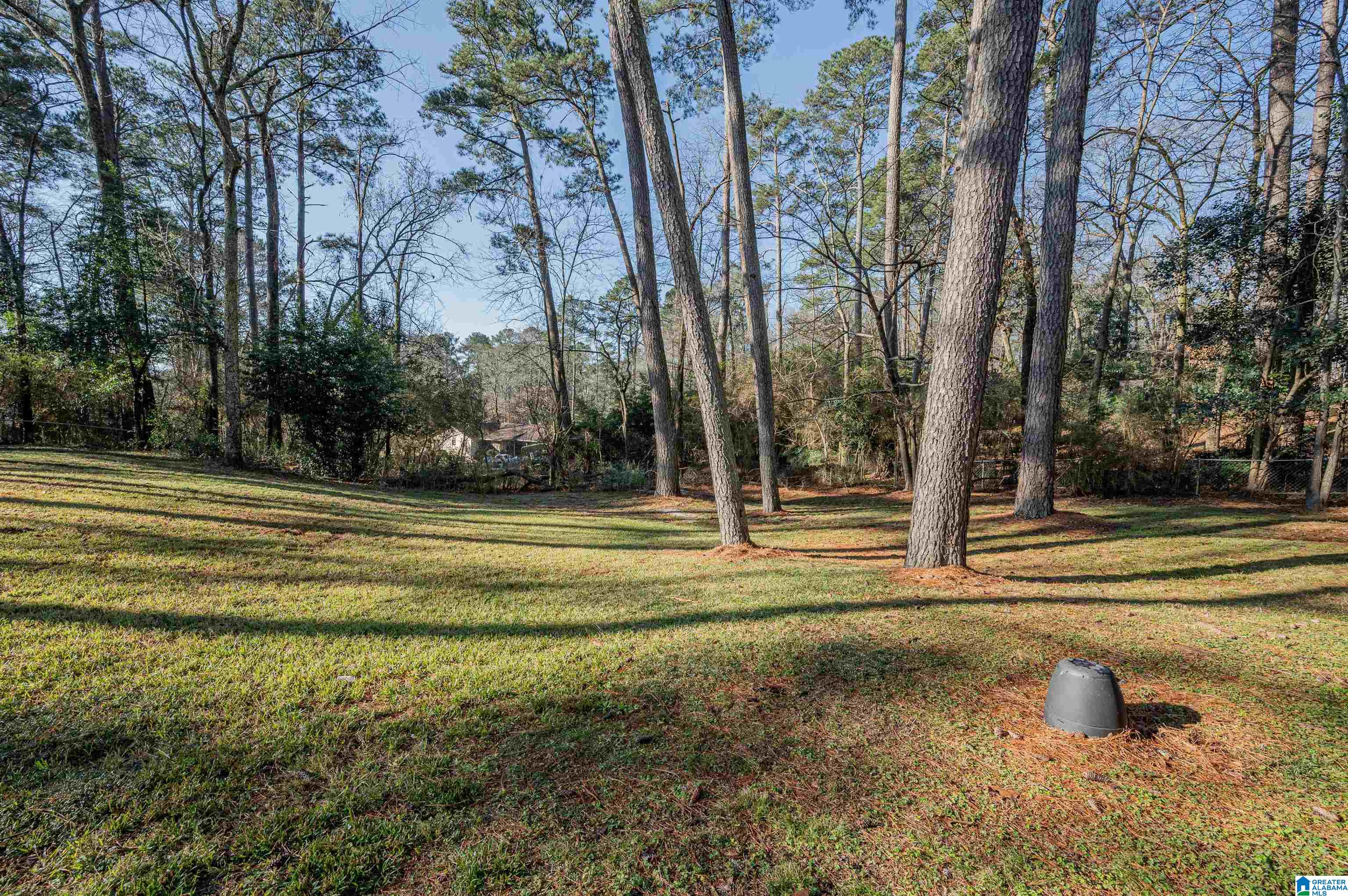 2940 Old Rocky Ridge Road Birmingham, AL 35243 - Photo 41 of 42
