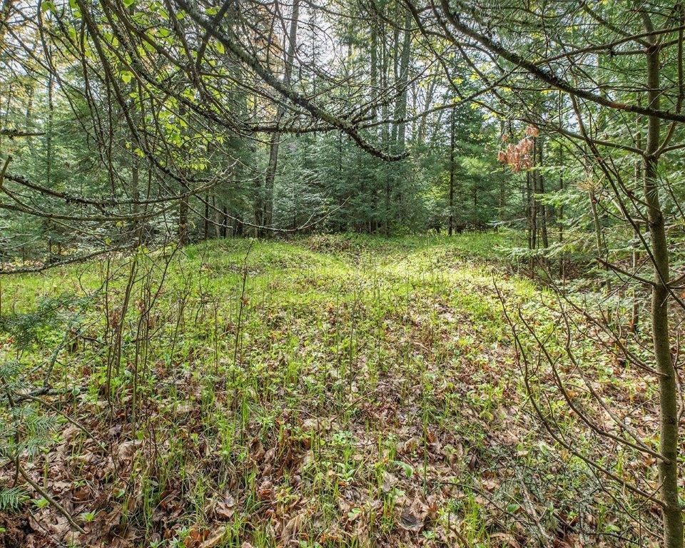 8 Blue Island Road, Unit PARCEL Woodruff, WI 54568 - Photo 8 of 22 Gallery Image 8