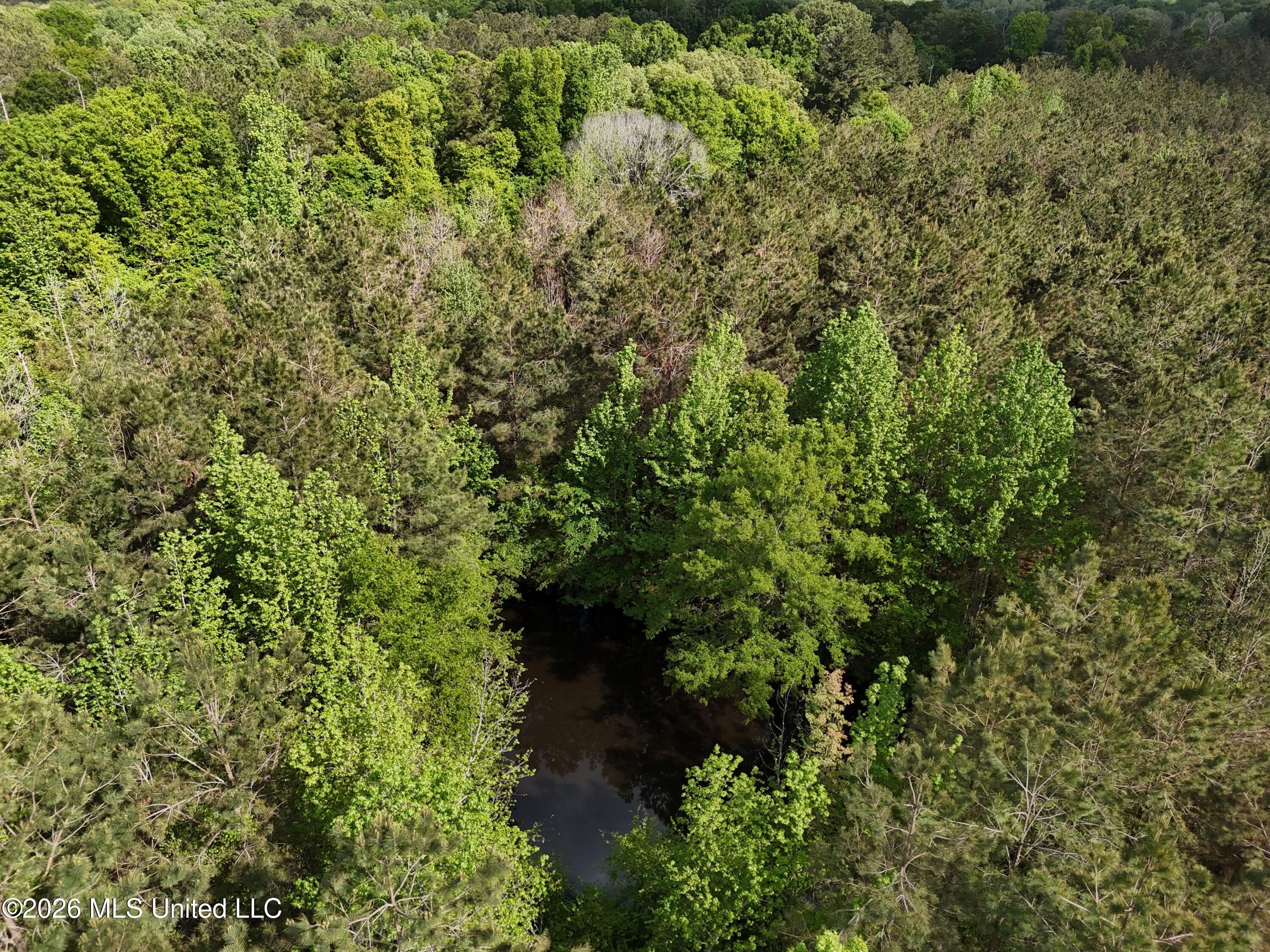 5171 Coxs Ferry Road Bolton, MS 39041 - Photo 5 of 20 5C2AB651-5078-45A1-AC0B-770749521C7B