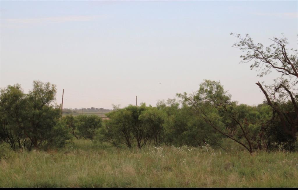 300 County Road 232 Rotan, TX 79546 - Photo 5 of 19