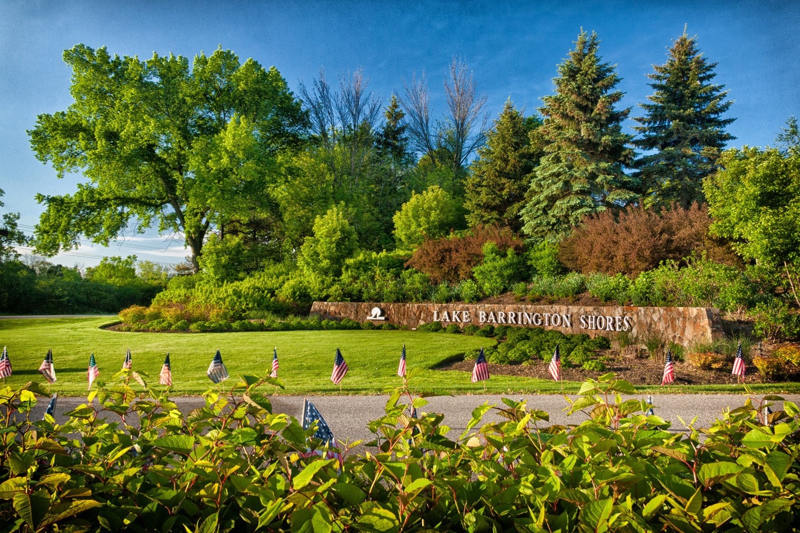 33 Shoreline Road, Unit B Lake Barrington, IL 60010 - Photo 47 of 49 a view of a big yard with plants and large trees